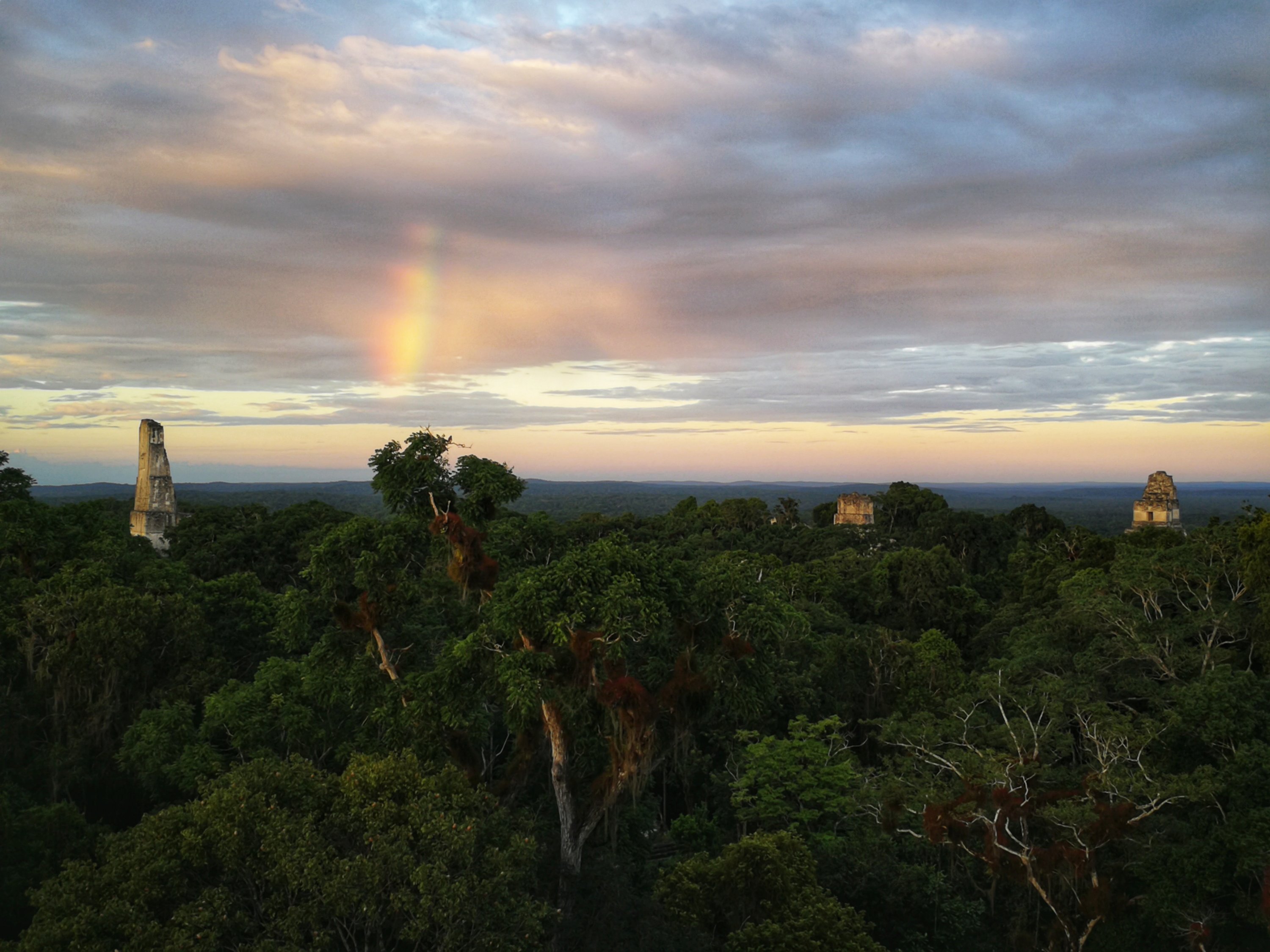 The view from the top of Mundo Perdido in Tikal National Park