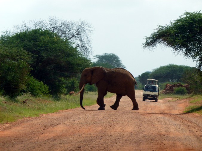 Kenya: Self-guided safari in Tsavo East