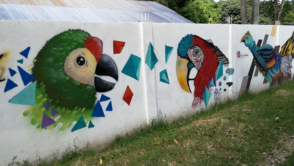 Street art painting of parrots and birds in Guatemala