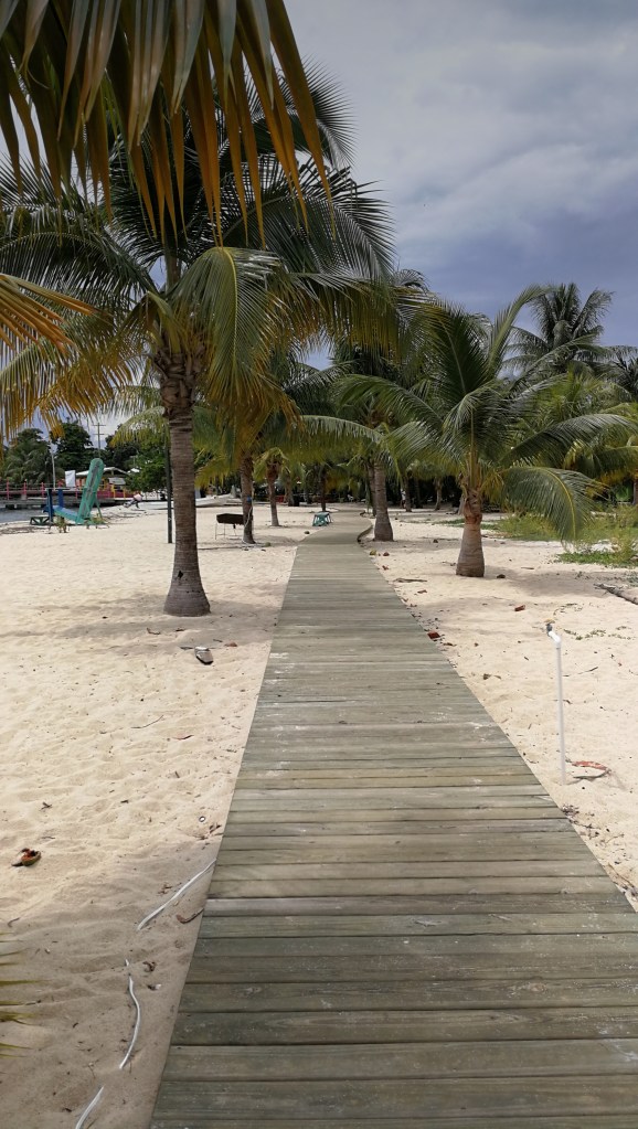 A beach in Placencia with boardwalk and palms