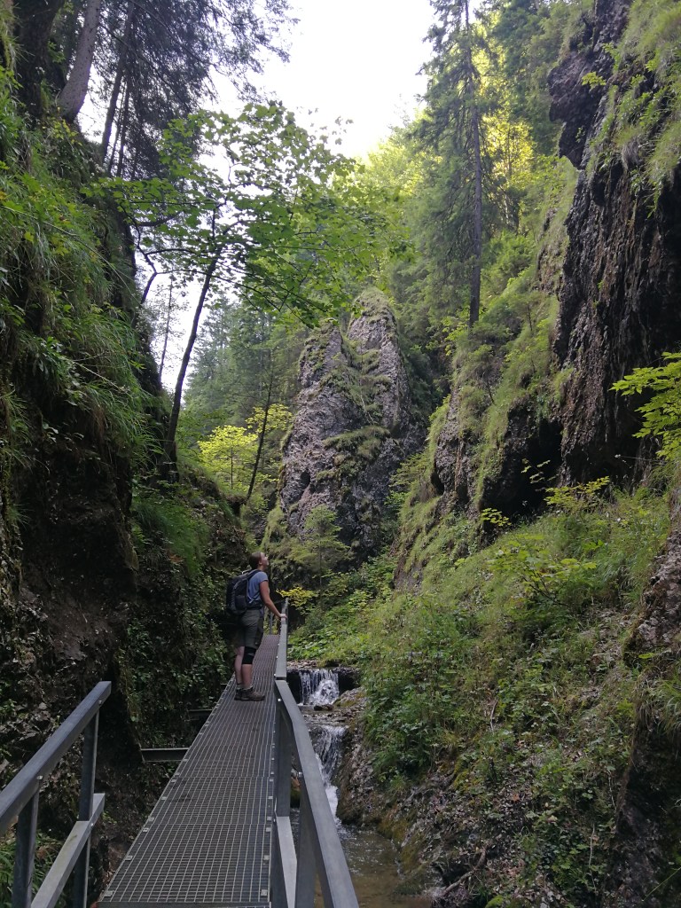 Rie in the gorge