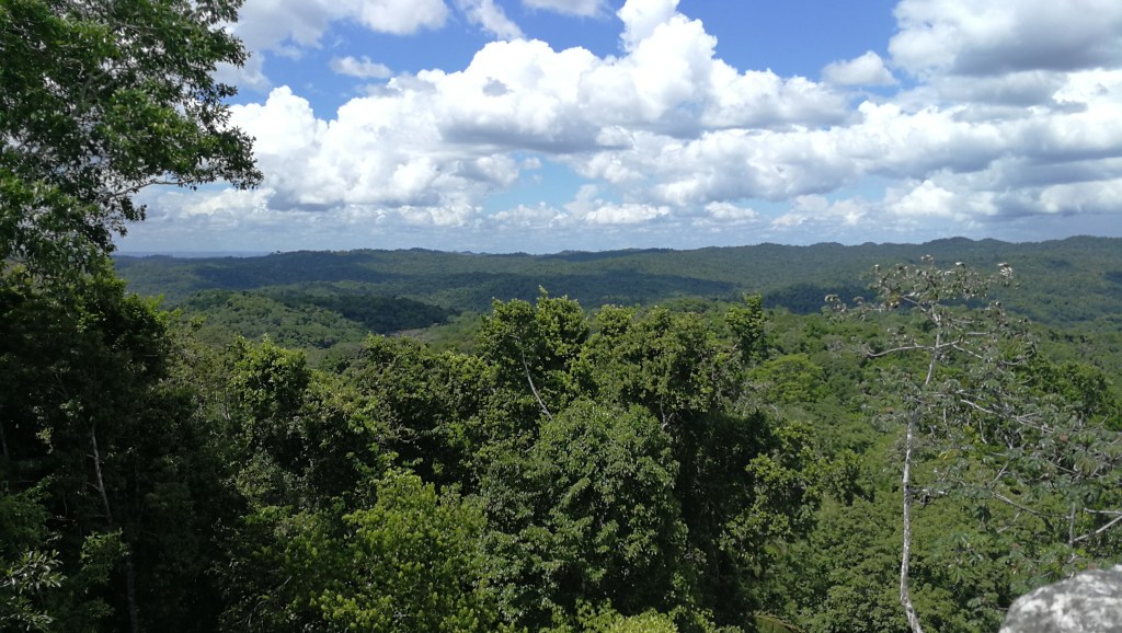 Views of the rainforest stretching as far as the eye can see from atop Caana, the sky palace.
