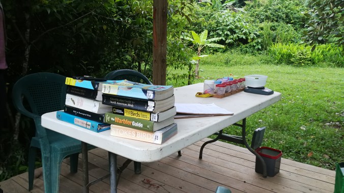 My Journey with Tropical Birds: Banding at T.R.E.E.S