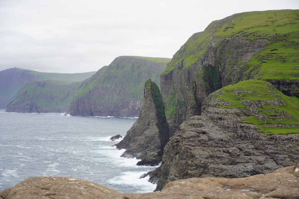 Coastal cliff with birds and green grass