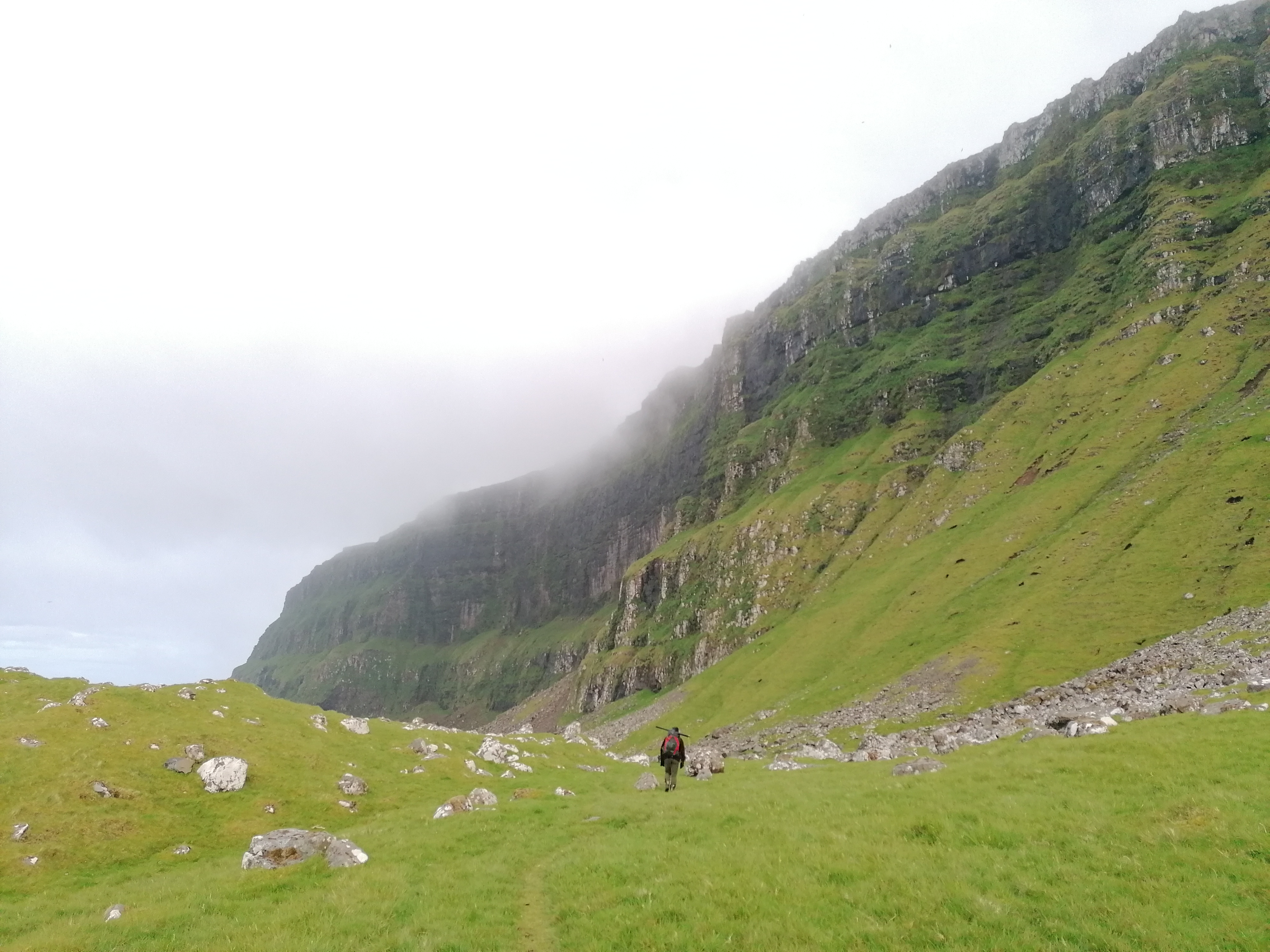 Heading to the seabird colony on Nólsoy