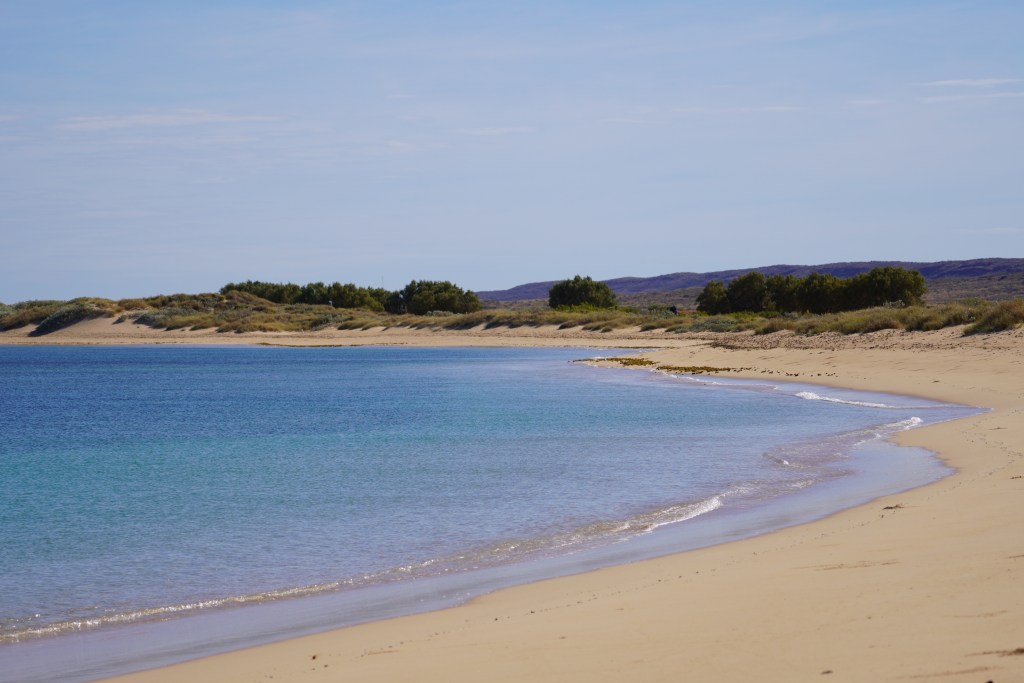 Beach and vegetation