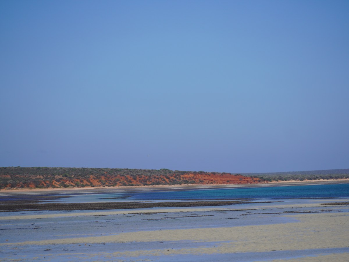 Must see nature and wildlife experiences in Shark Bay, Western&nbsp;Australia