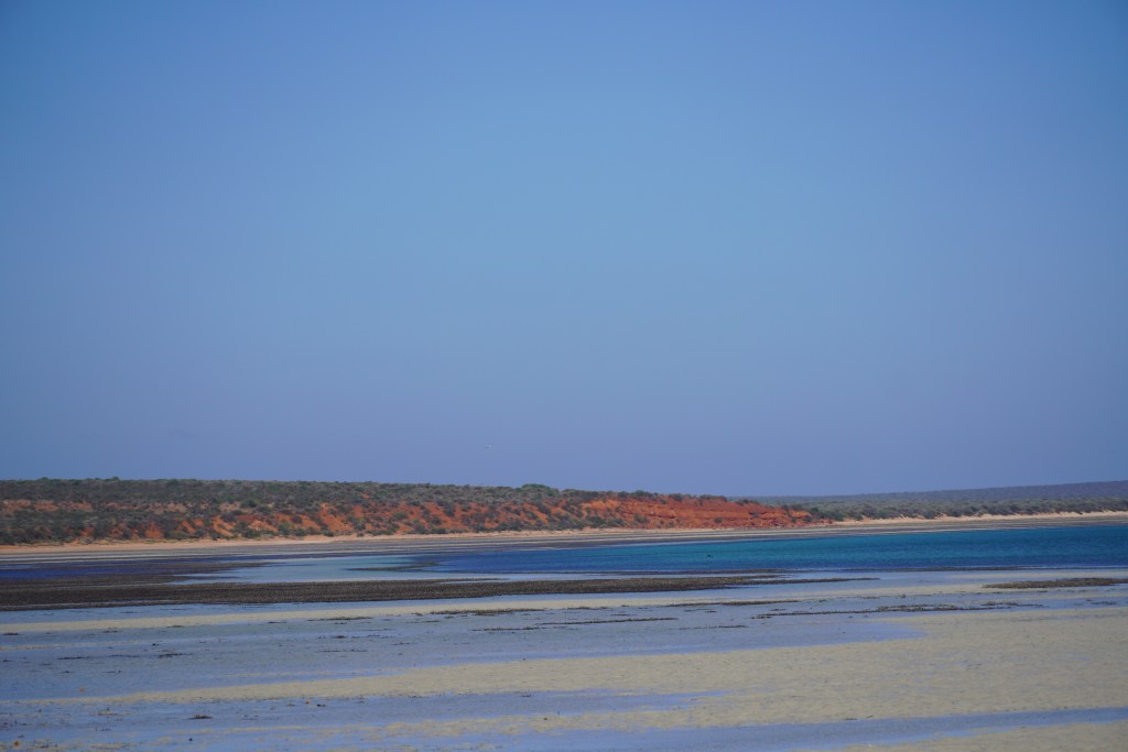 Red sandy dunes at Monkey Mia