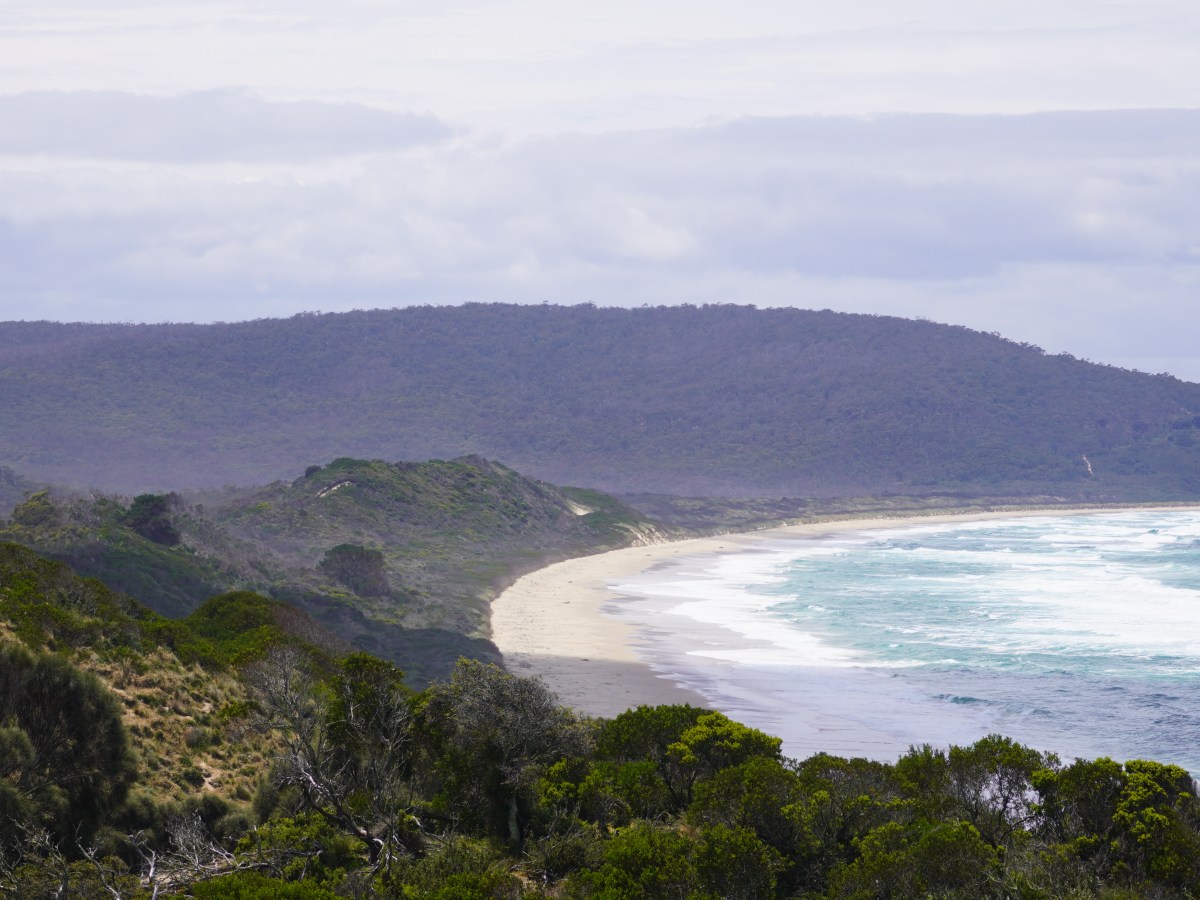 Australia: Outstanding hikes and wildlife encounters on Bruny Island,&nbsp;Tasmania