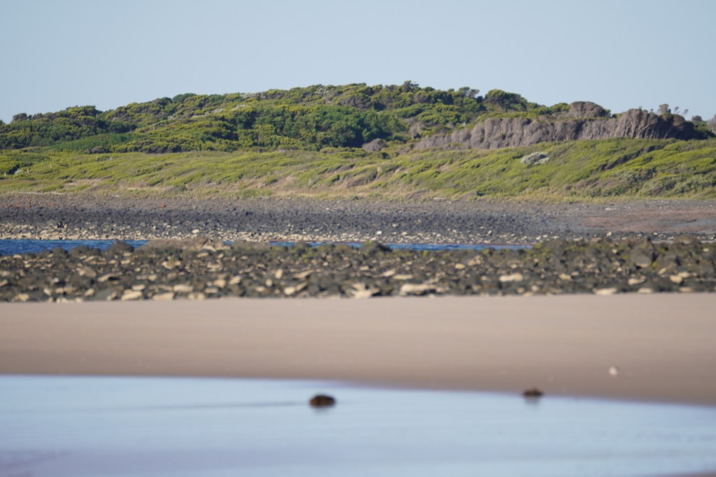 Landscape from Low Head beach