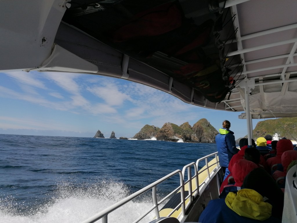 Wildlife cruise Bruny Island