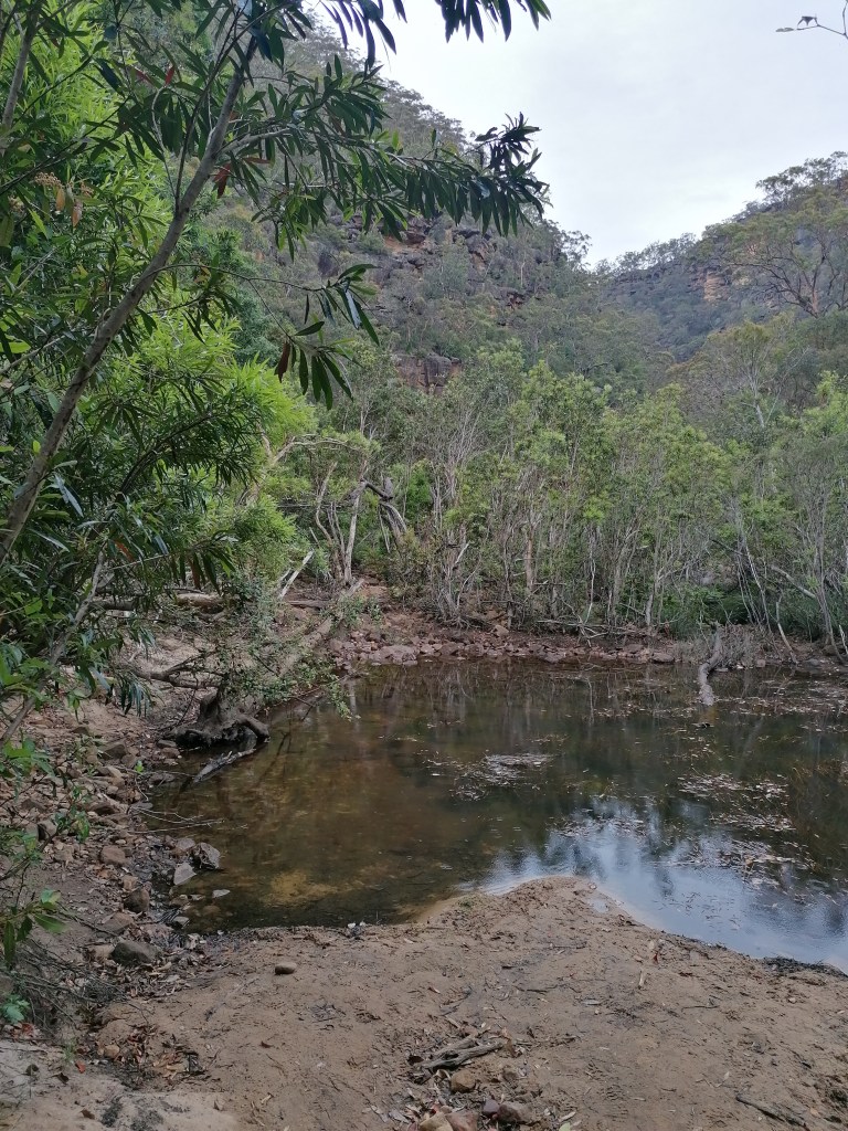 A creek along the Gorge Track