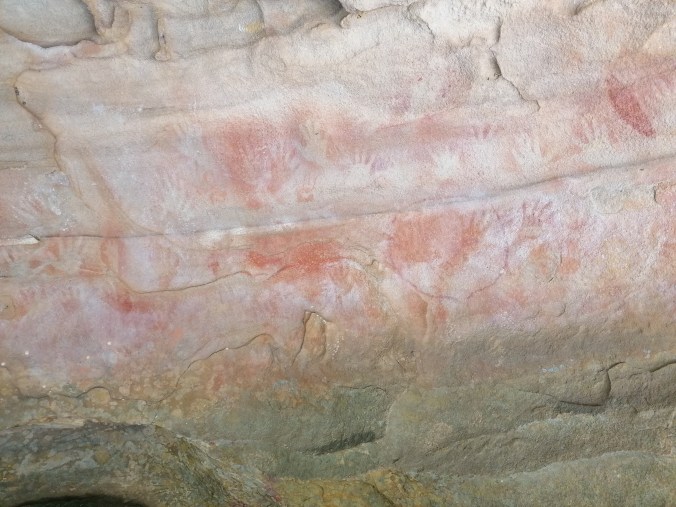 The Blue Mountains: Short solo walking trails and bird watching in&nbsp;Glenbrook