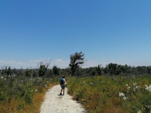 En route on a walking trail in Yanchep National Park
