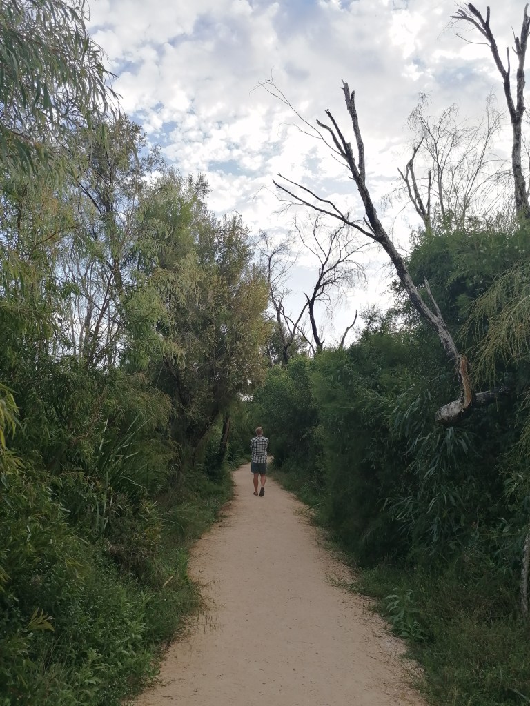 The Wetlands trail in Yanchep National Park