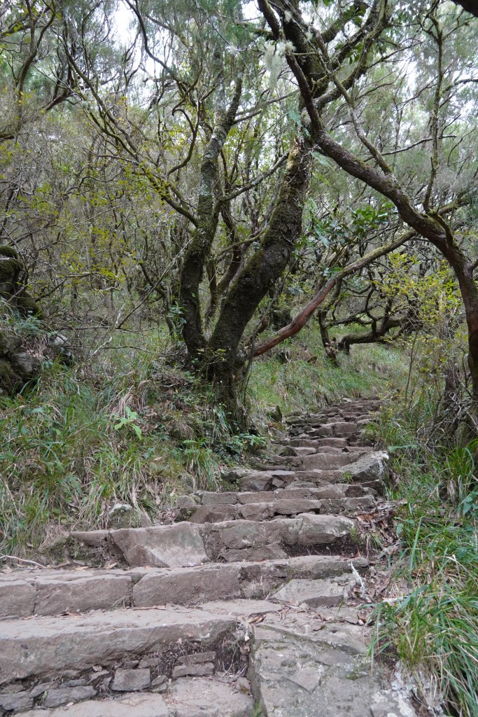 A staircase on the 25 fontes hike