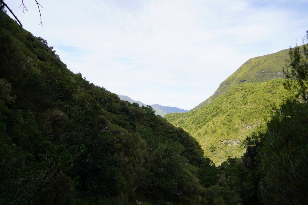 Laurisilva and a mountain valley