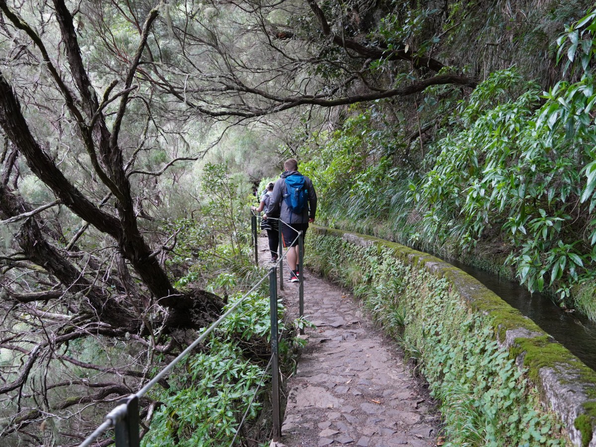 Madeira: A half-day hike to Risco and the 25&nbsp;Fontes