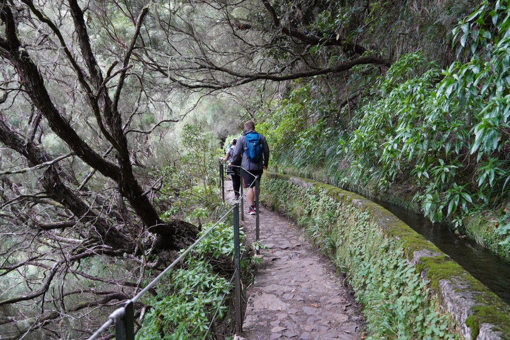 Madeira: A half-day hike to Risco and the 25 Fontes
