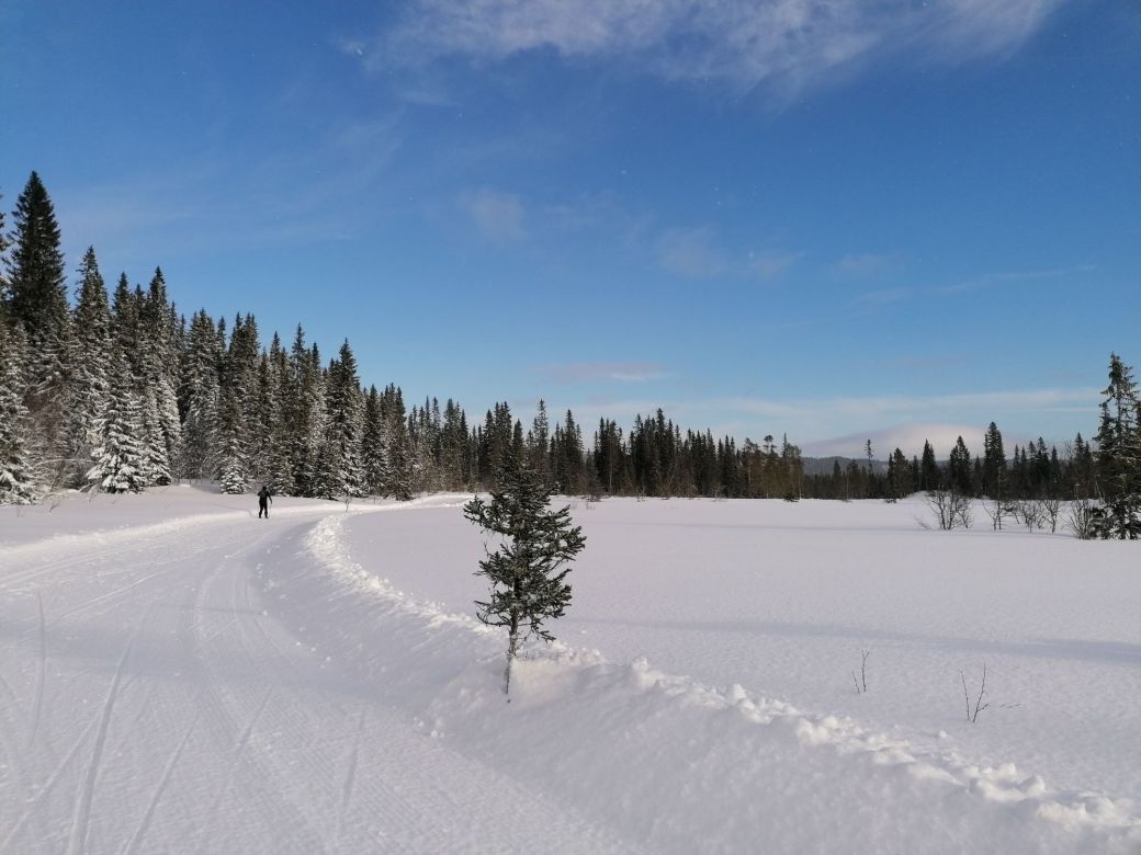Sweden: Beginner friendly skiing holiday in Åre – traveling via night train from Stockholm