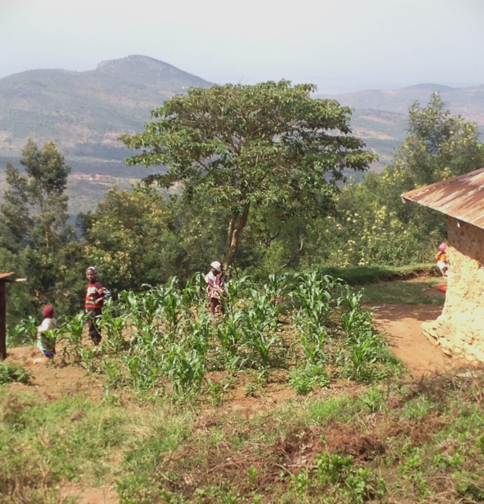 Children watching the spectacle (the jeep climbing the road very slowly) in Vuria, Taita Hills, Kenya.