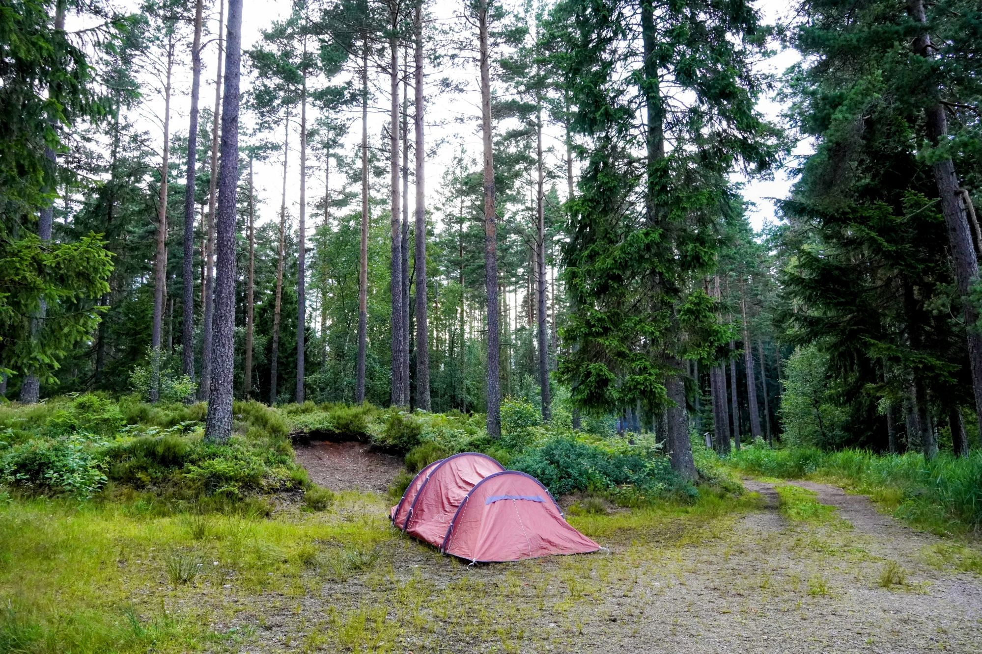 Camping by a lake in Sweden