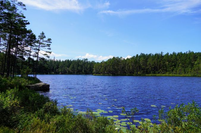 Swedish lake during summer