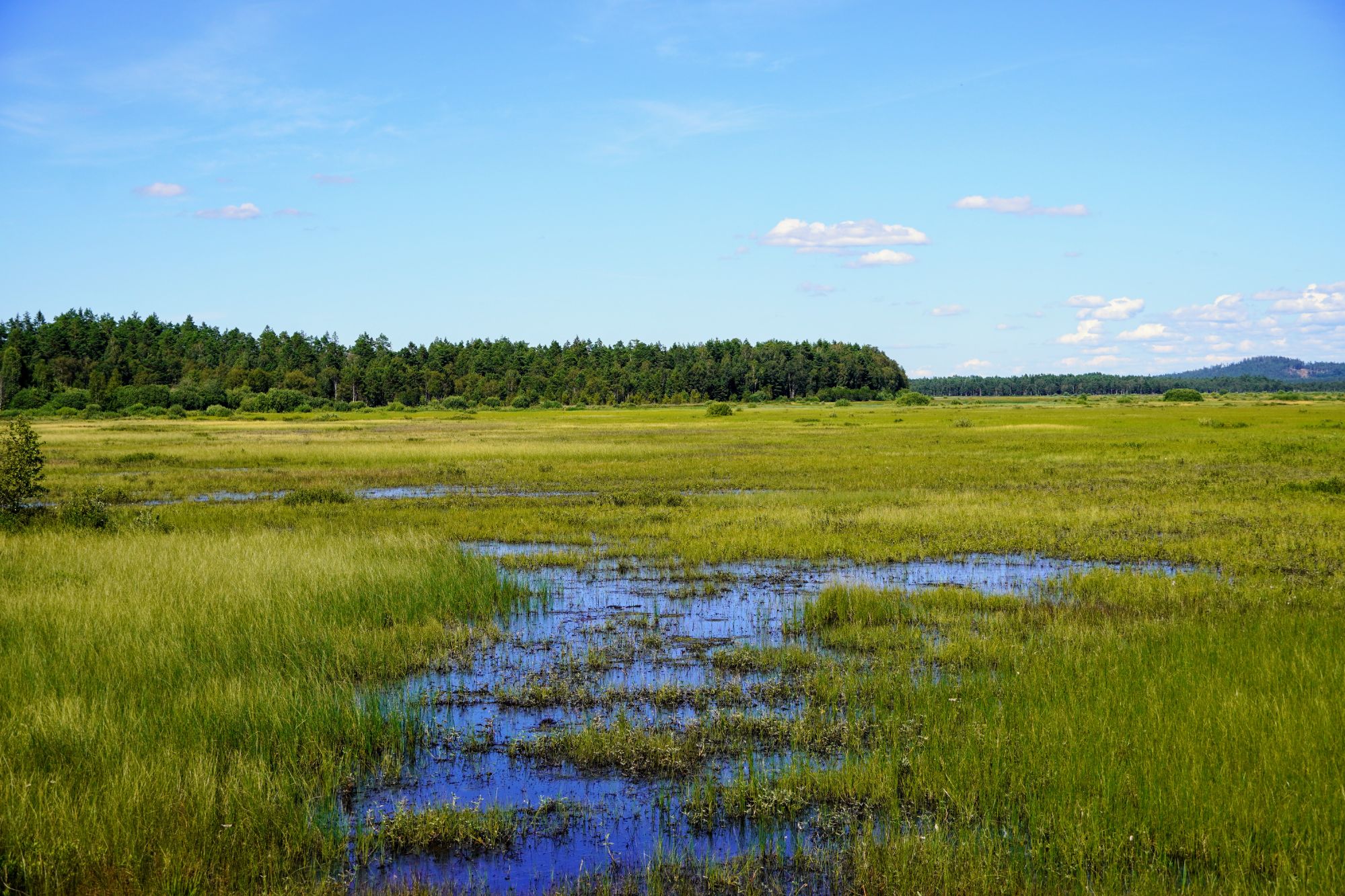 Nature at Stora Mossa