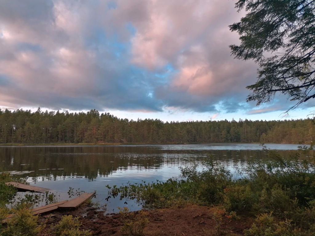 The lake by the campsite in Tivedens National Park