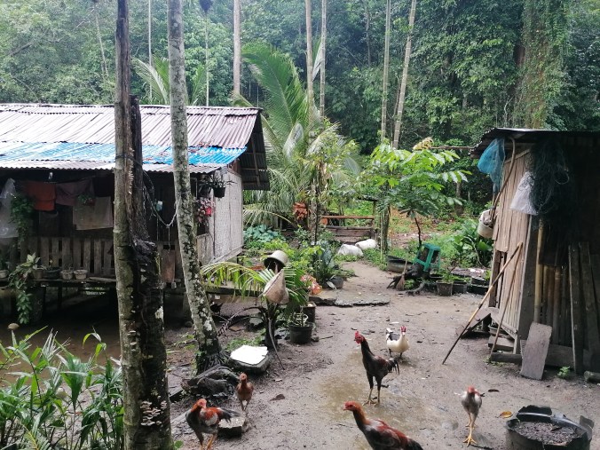 Authentic village life in Bukit Lawang