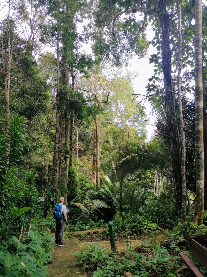 The Botanical Garden, Genting Highlands (Bukit Tinggi, Malaysia)