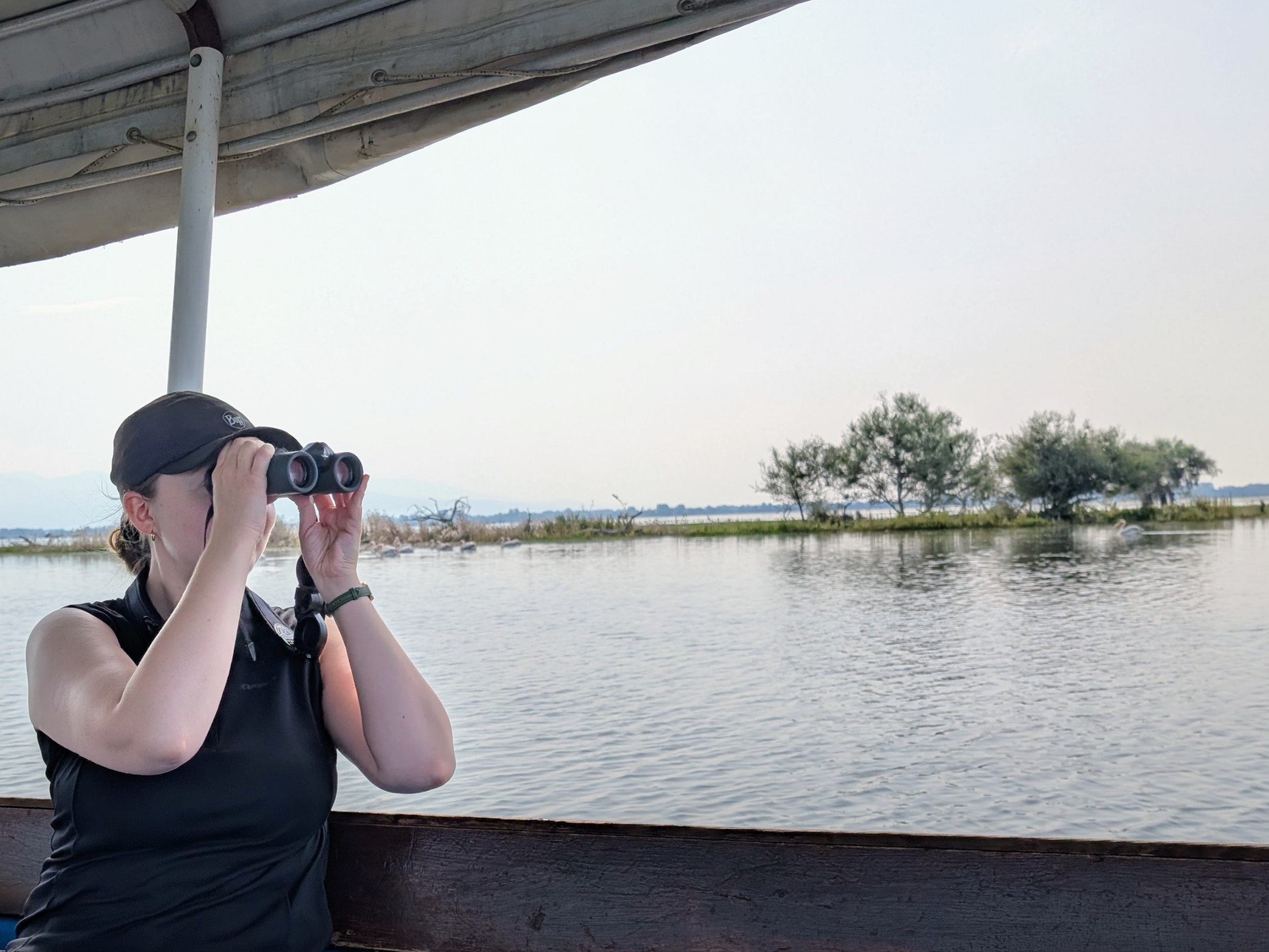 Birdwatching at Kerkini Lake, Northern&nbsp;Greece