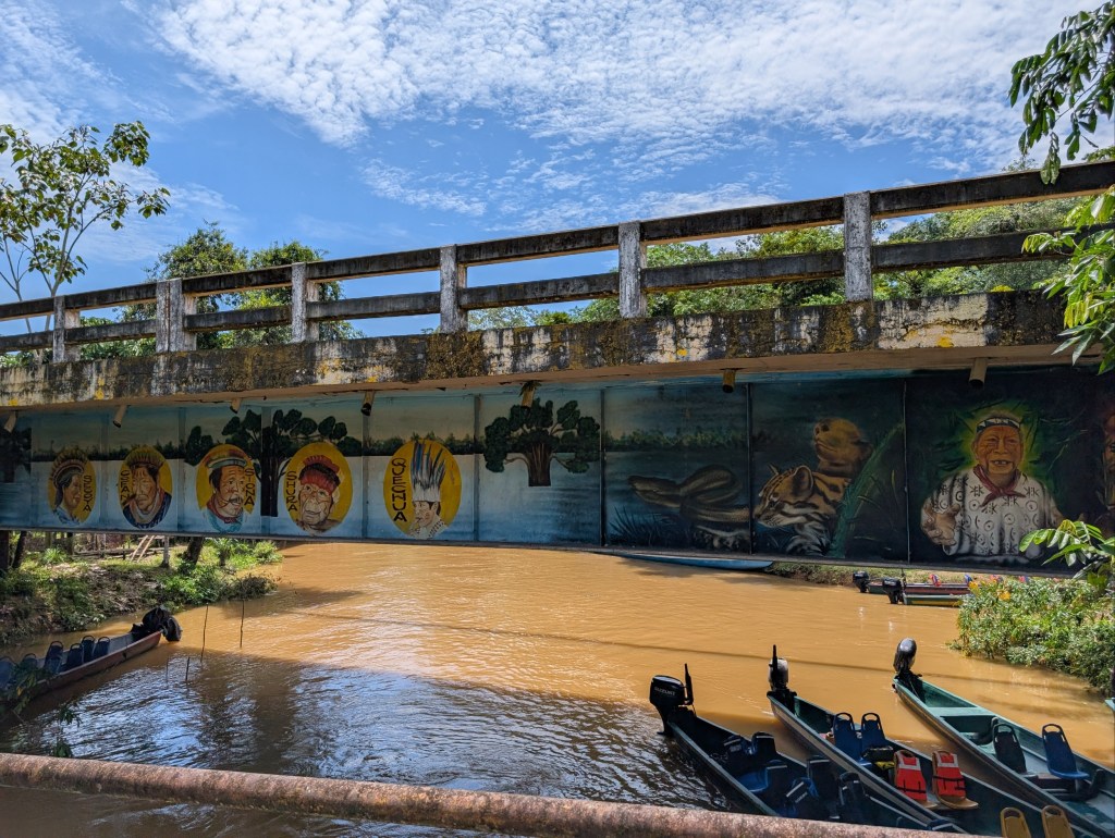 Cuyabeno bridge, the Amazon rainforest, Ecuador