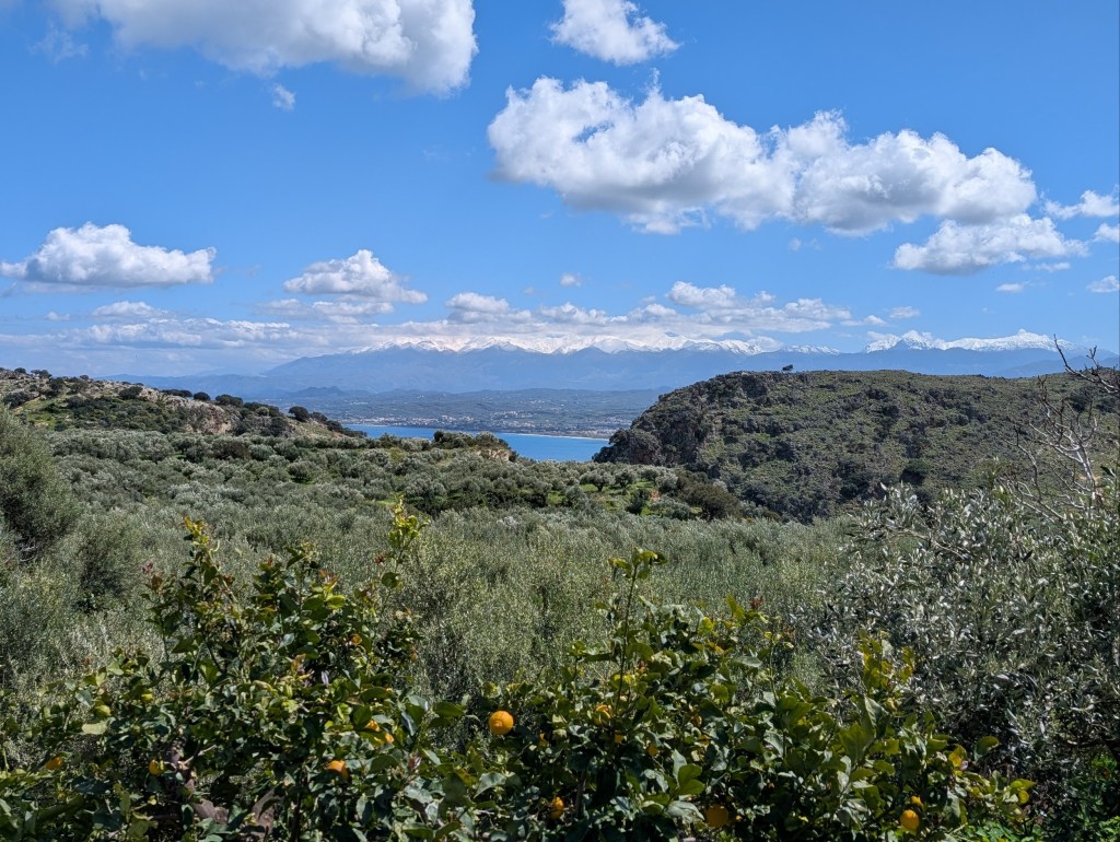 Lemon- and olive groves near Kolymbari, Western Crete
