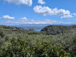 Lemon- and olive groves near Kolymbari, Western Crete