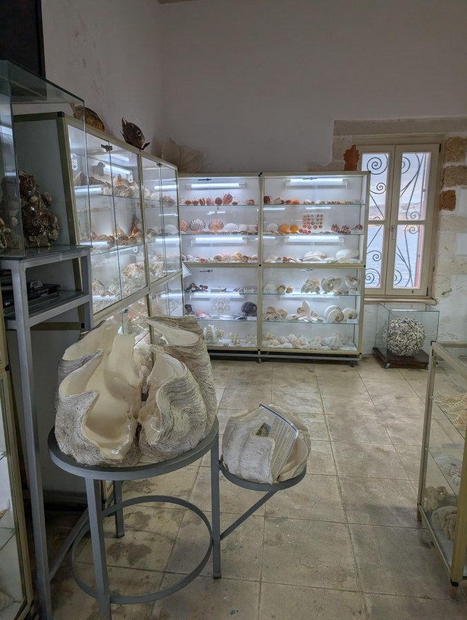 Shell and stone collection at the Maritime Museum of Crete, Chania